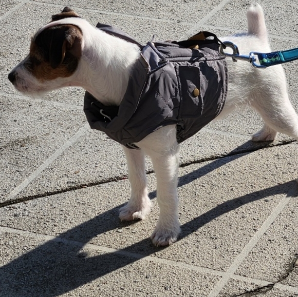 @bethybd GIVEAWAY At LIVE Show Today🎁Plan To Join Us! - Picture 6 of 16